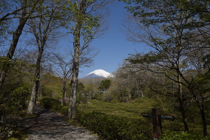 f:id:zubora_mom:20180507172145j:plain f:id:zubora_mom:20180507172145j:plain