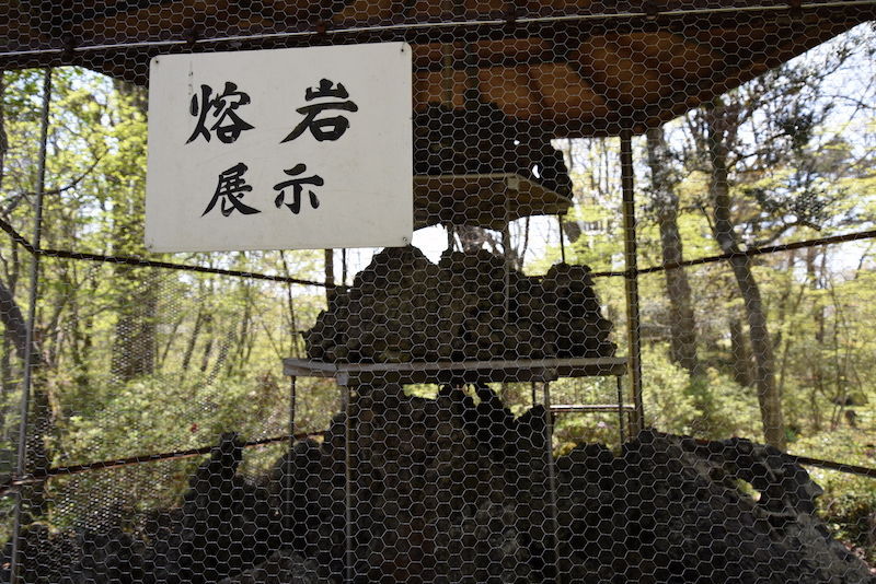 f:id:zubora_mom:20180507173100j:plain f:id:zubora_mom:20180507173100j:plain