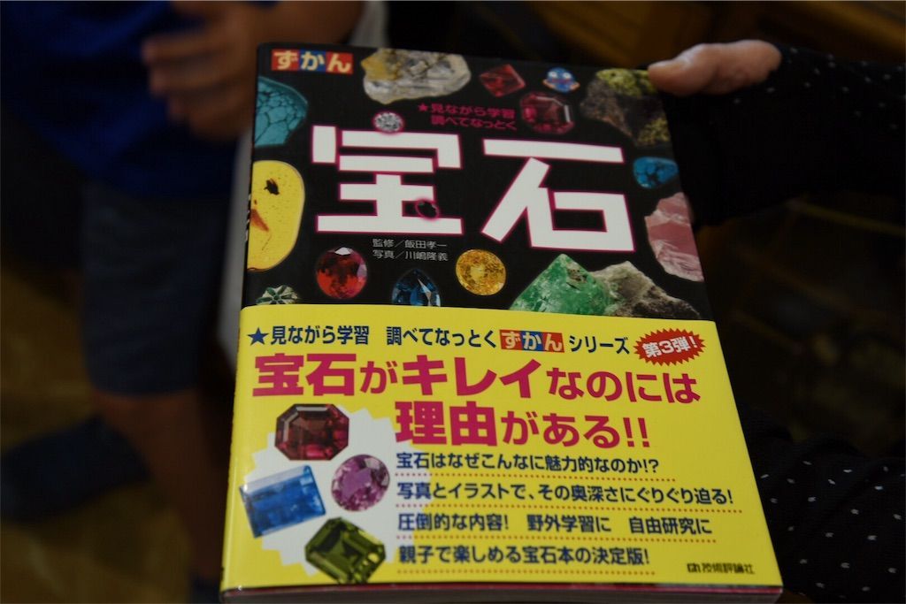f:id:zubora_mom:20180605103743j:plain f:id:zubora_mom:20180605103743j:plain