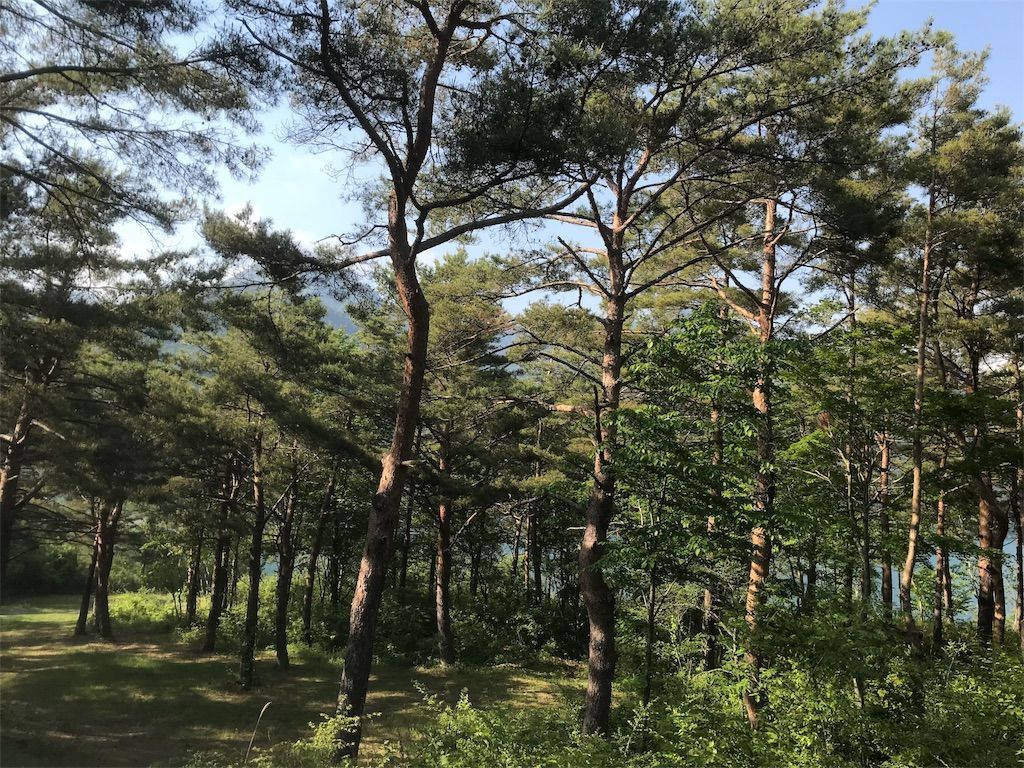 f:id:zubora_mom:20180605105031j:plain f:id:zubora_mom:20180605105031j:plain