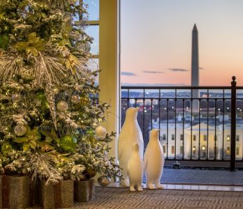 f:id:zuboraca:20191016095331j:plain