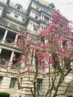 ホワイトハウス周辺の建物