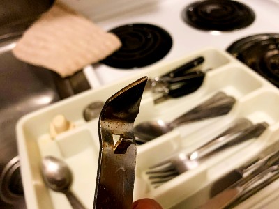 ロイヤル・グローブ・ワイキキ宿泊&滞在日記 - ハワイでワーケーション