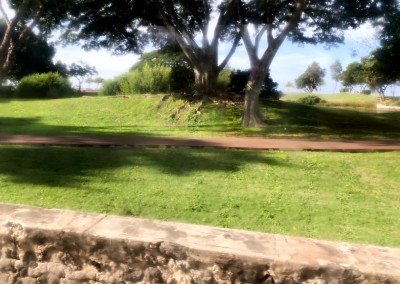 ホノルル空港からワイキキまで路線バスの旅・THE BUS（ザ・バス）の乗り方