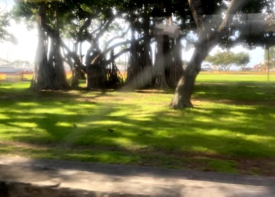 ホノルル空港からワイキキまで路線バスの旅・THE BUS（ザ・バス）の乗り方