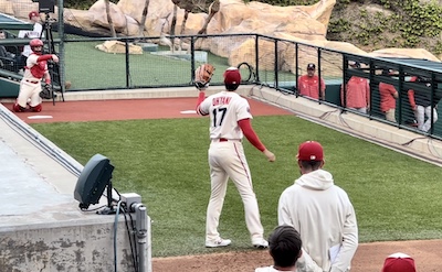 【2023年最新】エンゼルス大谷翔平観戦レポート 4月ホーム開幕戦〜良い席で見る裏技やサインやボールをもらう方法