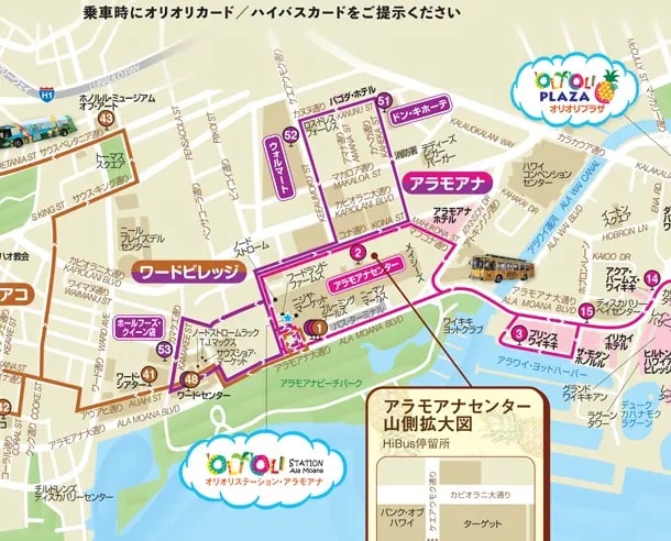 【ハワイ移動手段】乗り降り自由でお得！HiBus(ハイバス)ハワイ観光おすすめスポット★穴場や裏技も紹介します♪