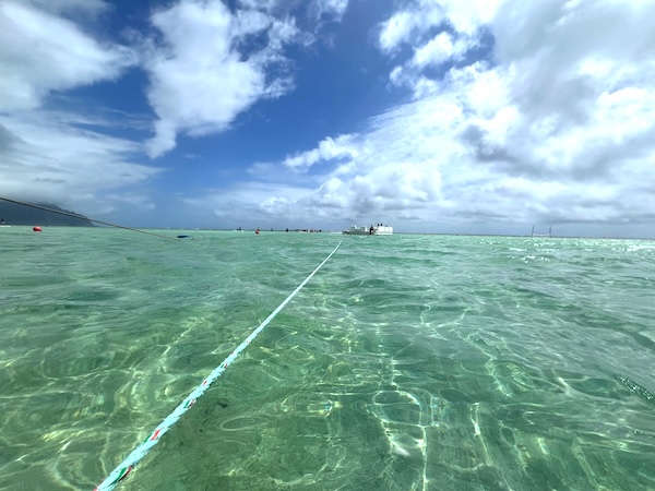 【ハワイ】オプショナルツアーおすすめはカネオヘ湾のサンドバー！カタマランクルーズ&マリンスポーツ満喫プラン