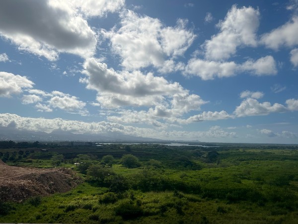 【ハワイ2024年最新】絶対お得！西海岸オプショナルツアーで新鉄道「Skyline」、絶景のピンクピルボックス、アウラニ（コオリナ）、ワイケレアウトレットモール、全部体験できる！