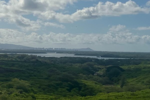 【ハワイ2024年最新】絶対お得！西海岸オプショナルツアーで新鉄道「Skyline」、絶景のピンクピルボックス、アウラニ（コオリナ）、ワイケレアウトレットモール、全部体験できる！