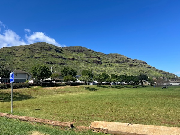 【ハワイ2024年最新】絶対お得！西海岸オプショナルツアーで新鉄道「Skyline」、絶景のピンクピルボックス、アウラニ（コオリナ）、ワイケレアウトレットモール、全部体験できる！