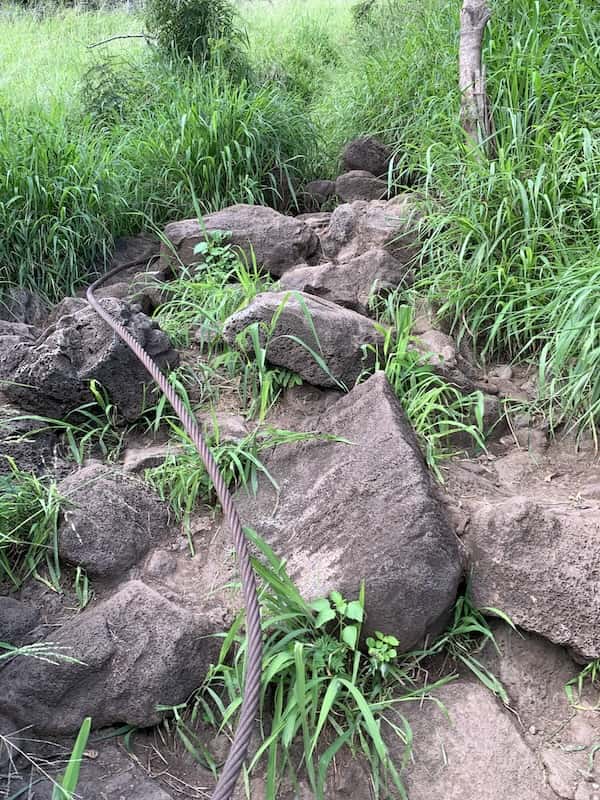 【ハワイ2024年最新】絶対お得！西海岸オプショナルツアーで新鉄道「Skyline」、絶景のピンクピルボックス、アウラニ（コオリナ）、ワイケレアウトレットモール、全部体験できる！