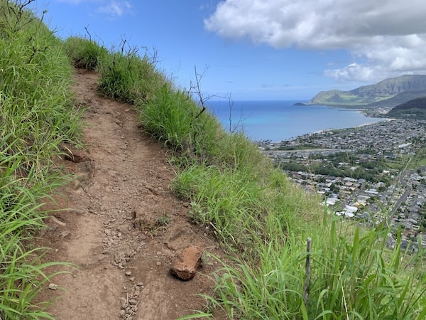 【ハワイ2024年最新】絶対お得！西海岸オプショナルツアーで新鉄道「Skyline」、絶景のピンクピルボックス、アウラニ（コオリナ）、ワイケレアウトレットモール、全部体験できる！