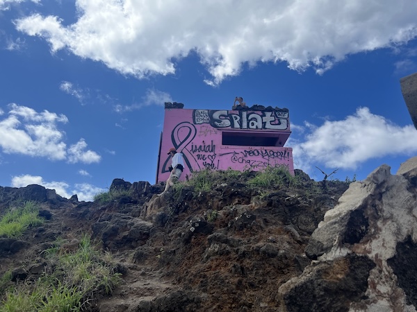 【ハワイ2024年最新】絶対お得！西海岸オプショナルツアーで新鉄道「Skyline」、絶景のピンクピルボックス、アウラニ（コオリナ）、ワイケレアウトレットモール、全部体験できる！