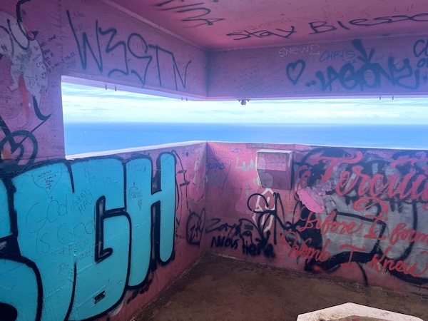 【ハワイ2024年最新】絶対お得！西海岸オプショナルツアーで新鉄道「Skyline」、絶景のピンクピルボックス、アウラニ（コオリナ）、ワイケレアウトレットモール、全部体験できる！