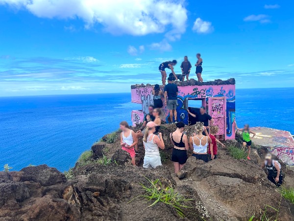 【ハワイ2024年最新】絶対お得！西海岸オプショナルツアーで新鉄道「Skyline」、絶景のピンクピルボックス、アウラニ（コオリナ）、ワイケレアウトレットモール、全部体験できる！