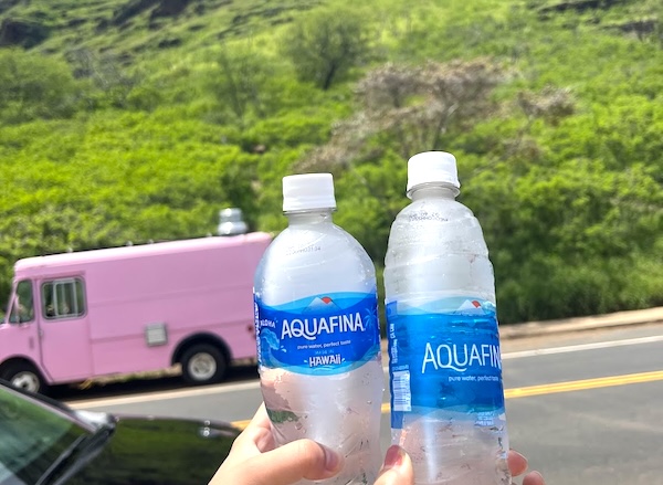 【ハワイ2024年最新】絶対お得！西海岸オプショナルツアーで新鉄道「Skyline」、絶景のピンクピルボックス、アウラニ（コオリナ）、ワイケレアウトレットモール、全部体験できる！