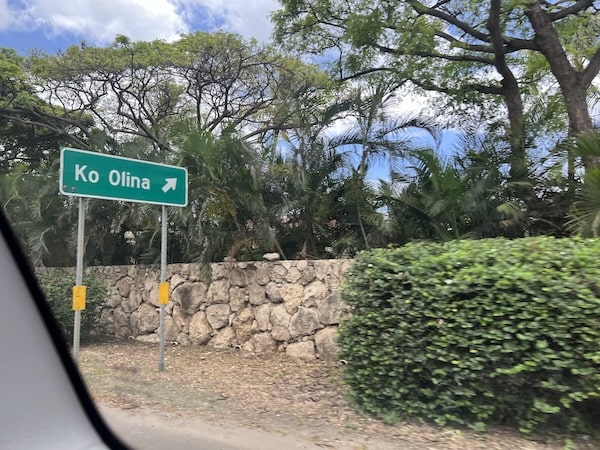 【ハワイ2024年最新】絶対お得！西海岸オプショナルツアーで新鉄道「Skyline」、絶景のピンクピルボックス、アウラニ（コオリナ）、ワイケレアウトレットモール、全部体験できる！