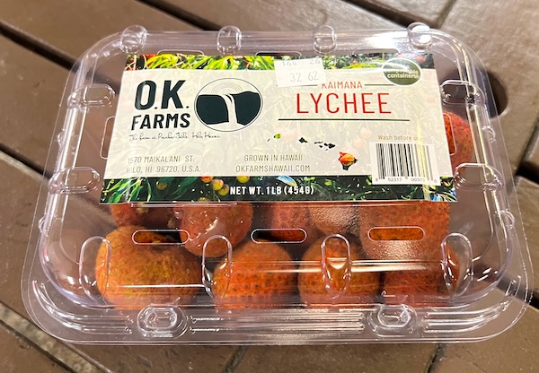 【ハワイ2024年最新】絶対お得！西海岸オプショナルツアーで新鉄道「Skyline」、絶景のピンクピルボックス、アウラニ（コオリナ）、ワイケレアウトレットモール、全部体験できる！