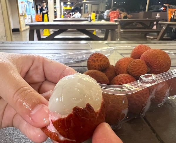 【ハワイ2024年最新】絶対お得！西海岸オプショナルツアーで新鉄道「Skyline」、絶景のピンクピルボックス、アウラニ（コオリナ）、ワイケレアウトレットモール、全部体験できる！