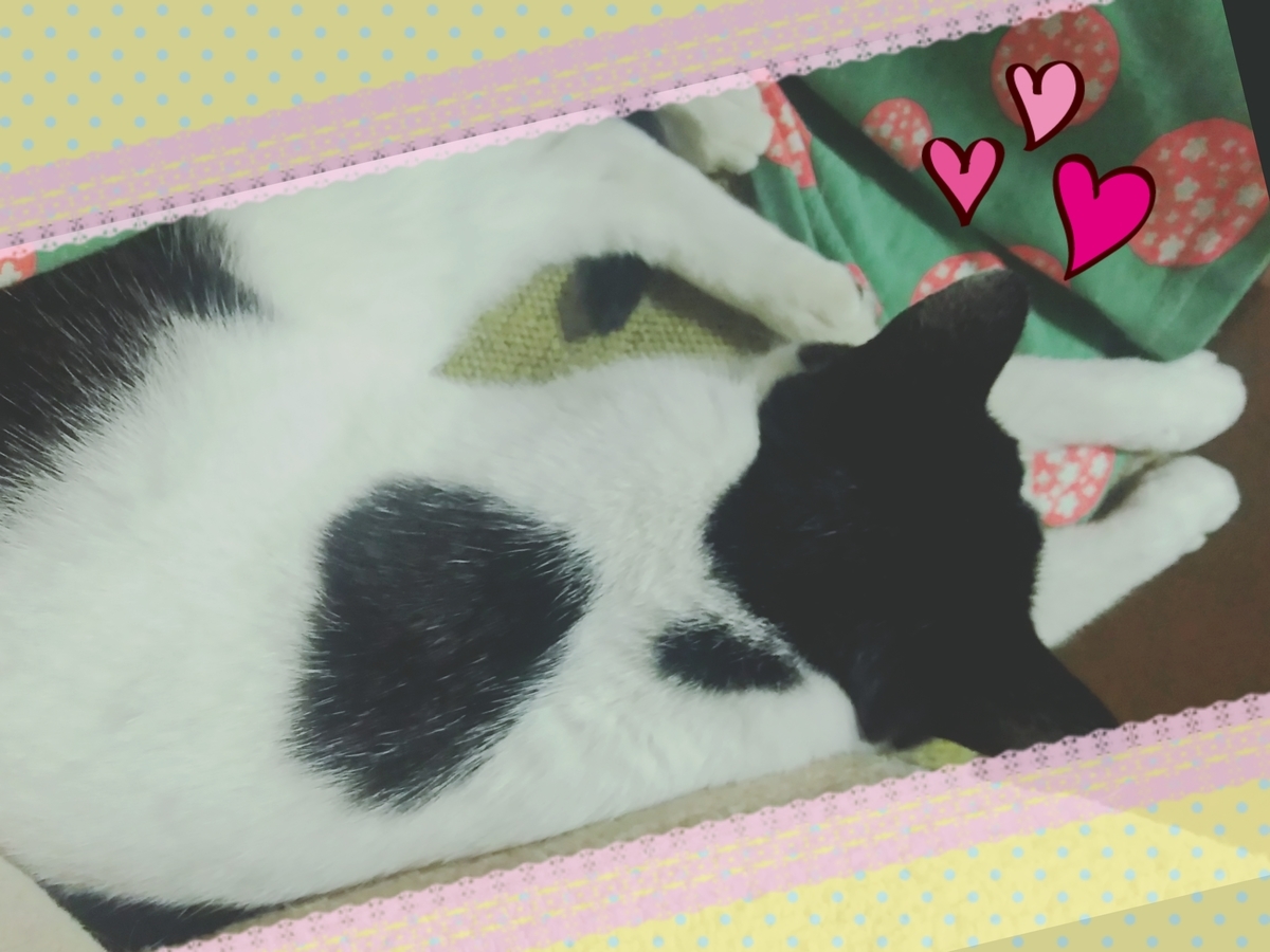 f:id:zuborasukee:20190624181155j:plain f:id:zuborasukee:20190624181155j:plain