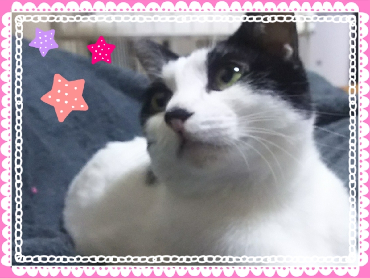 f:id:zuborasukee:20191106183510j:plain f:id:zuborasukee:20191106183510j:plain