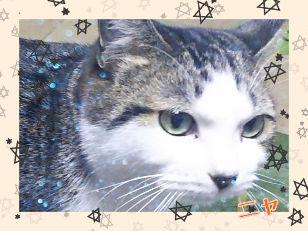 f:id:zuborasukee:20191107181120j:plain f:id:zuborasukee:20191107181120j:plain
