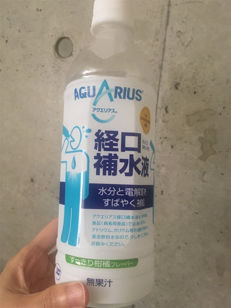 f:id:zucchinitan:20190805152802j:image