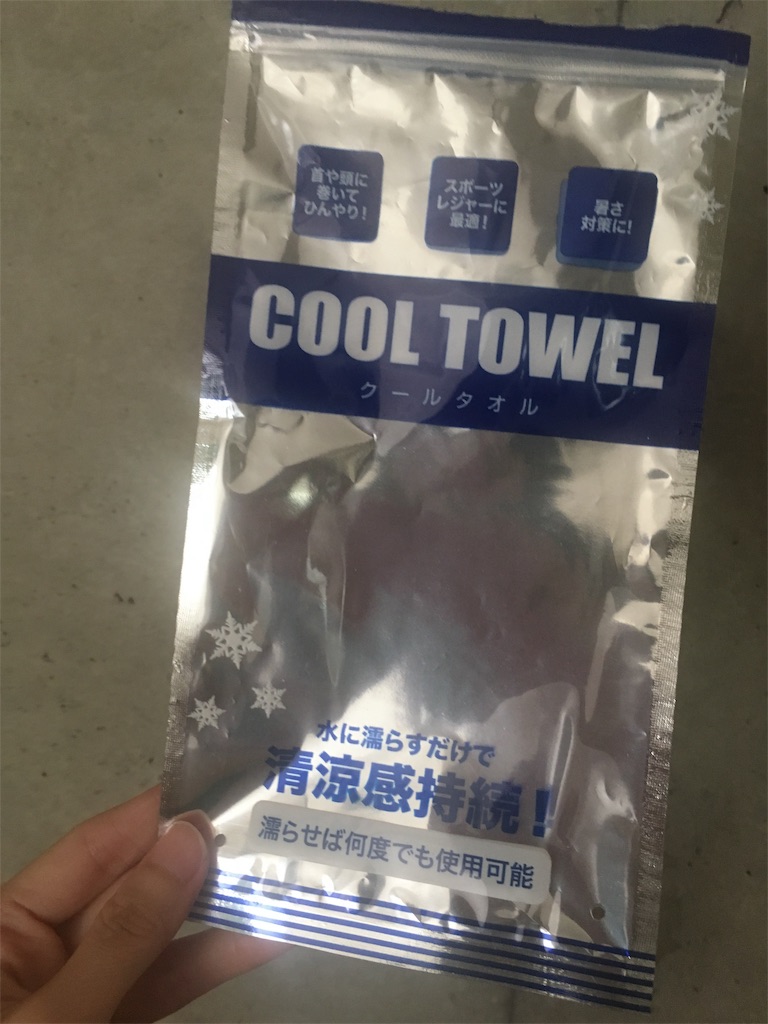 f:id:zucchinitan:20190805152809j:image