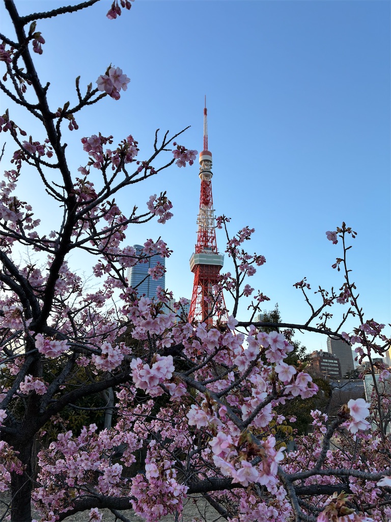f:id:zuime:20260219205306j:image f:id:zuime:20260219205306j:image