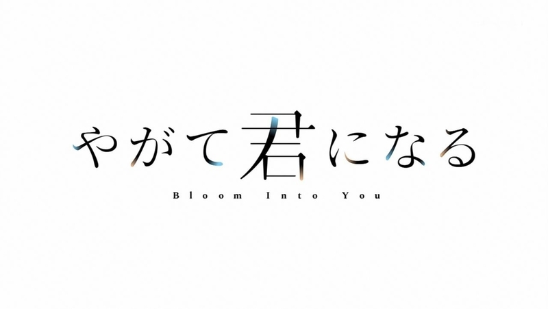f:id:zuka_poke:20181230004239j:plain f:id:zuka_poke:20181230004239j:plain