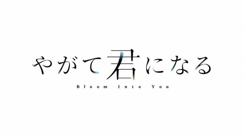 f:id:zuka_poke:20181230004239j:plain