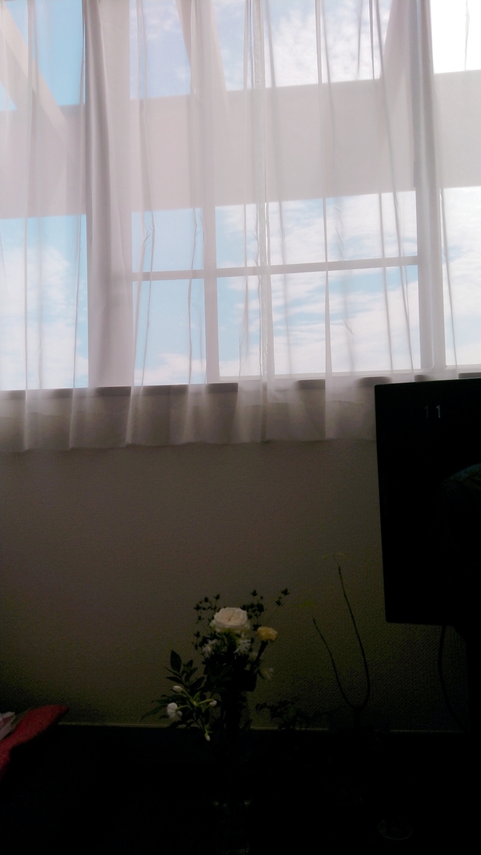 f:id:zukerm:20210621215453j:plain