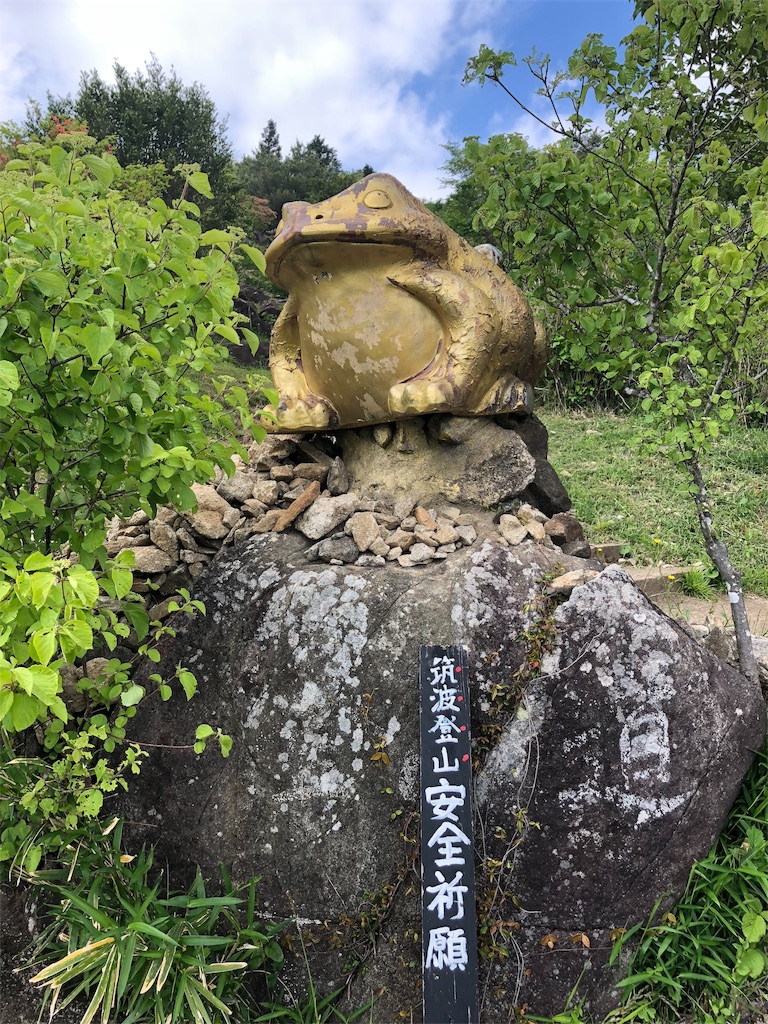 f:id:zukky162:20190602130525j:plain f:id:zukky162:20190602130525j:plain