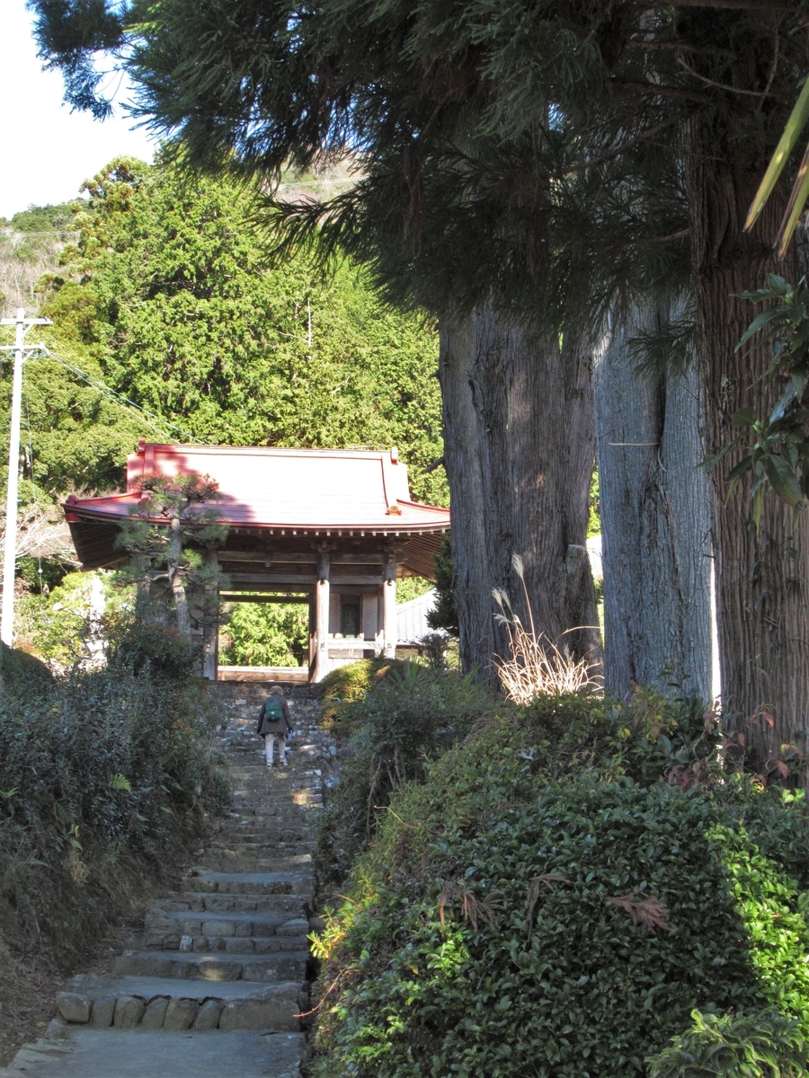 f:id:zukunashitosan0420:20200214200729j:plain f:id:zukunashitosan0420:20200214200729j:plain