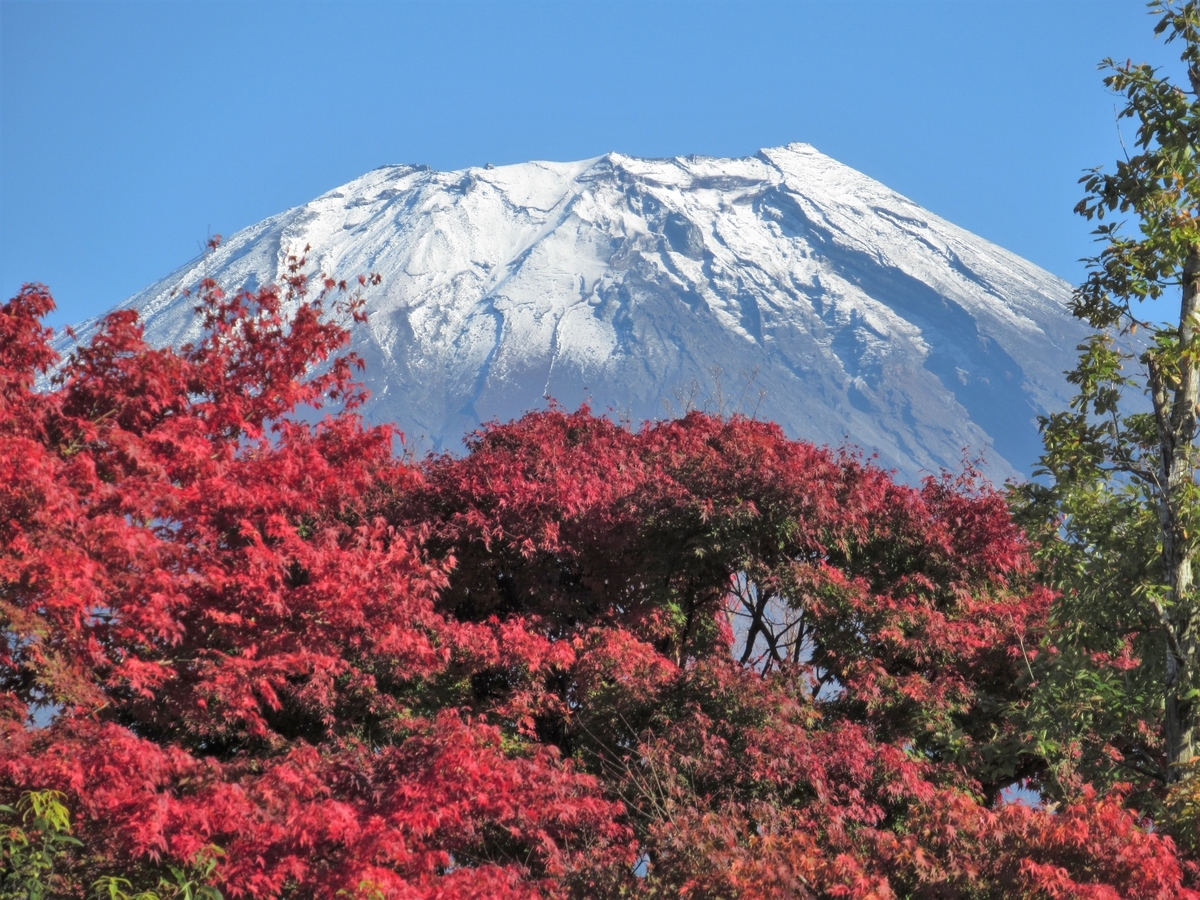 紅葉の朝霧高原を歩く - 続 曇りのち快晴