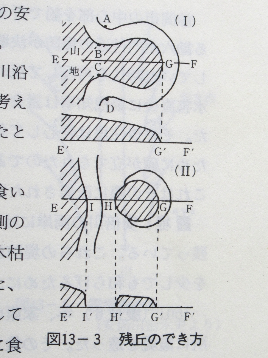 木枯しの森ー3 (消滅の危機も) - 続 曇りのち快晴