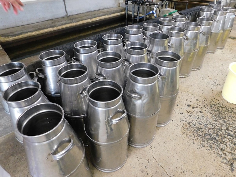 f:id:zuleta42:20190827133450j:plain f:id:zuleta42:20190827133450j:plain