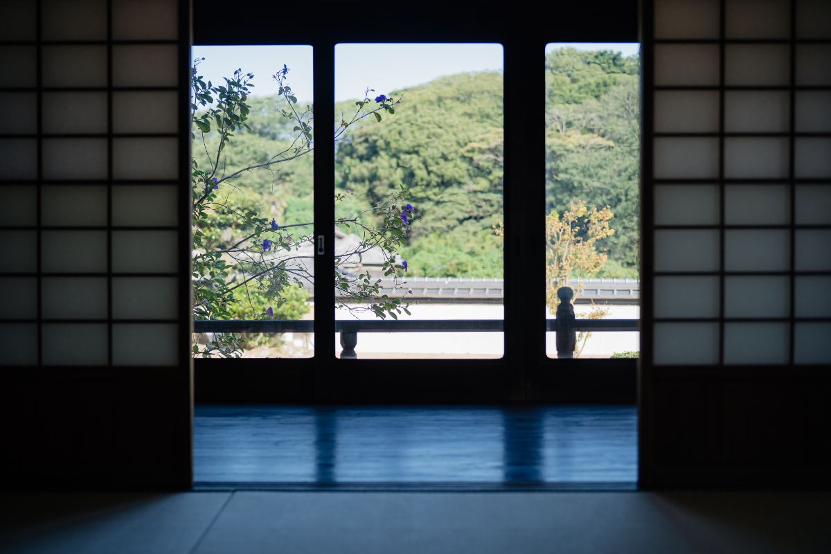 f:id:zuleta42:20201009175425j:plain