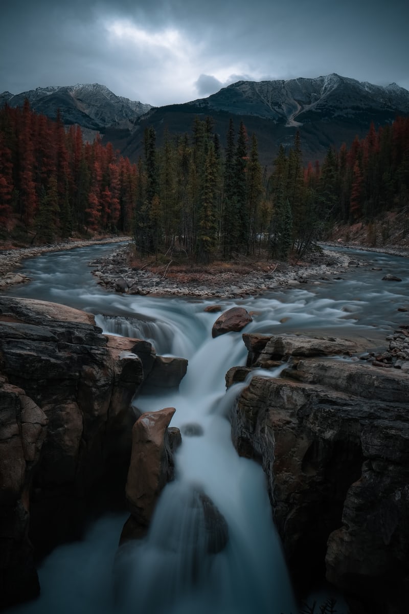 f:id:zuma573:20191026154309j:plain