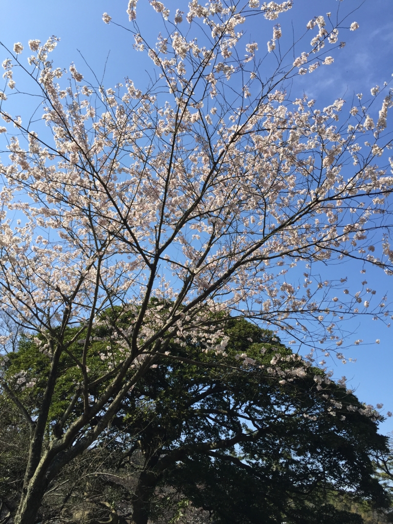 f:id:zumimind:20170413002531j:plain f:id:zumimind:20170413002531j:plain