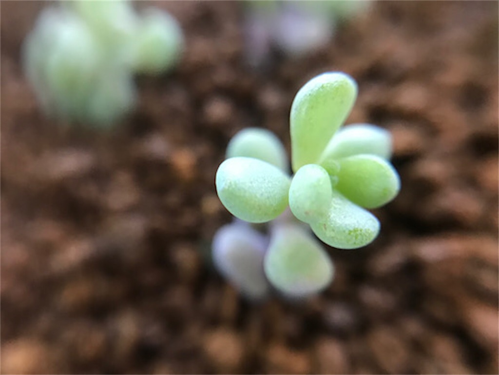 f:id:zun22:20230625134436j:image