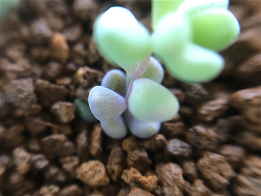 f:id:zun22:20230625134445j:image