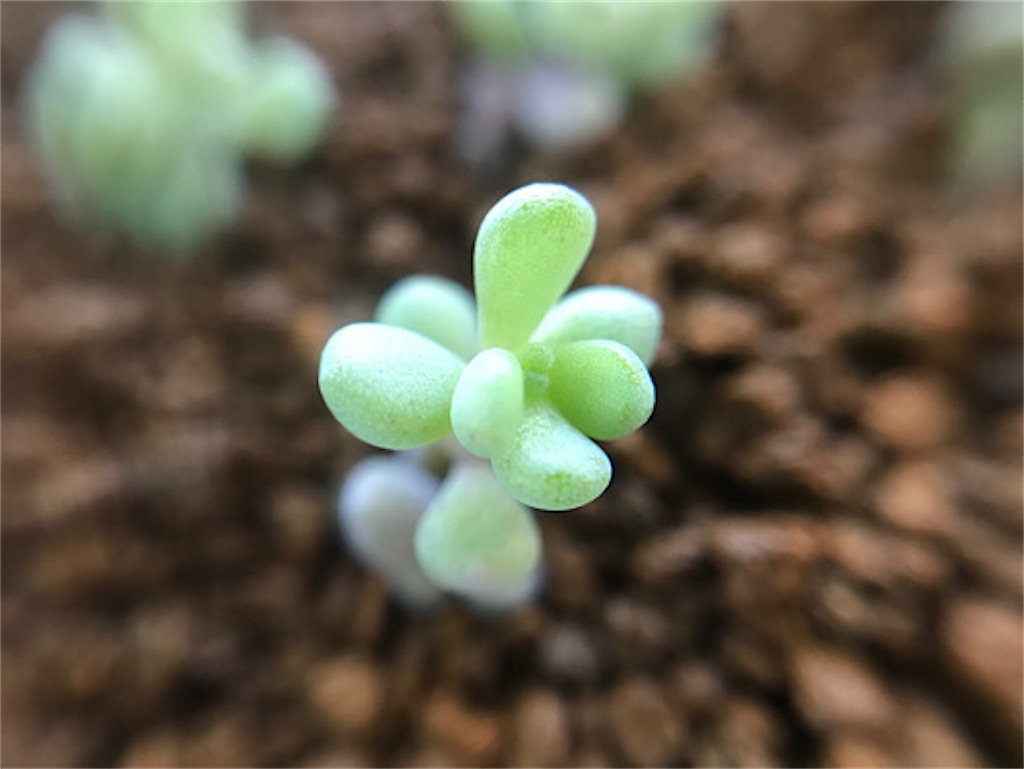 f:id:zun22:20230625134453j:image