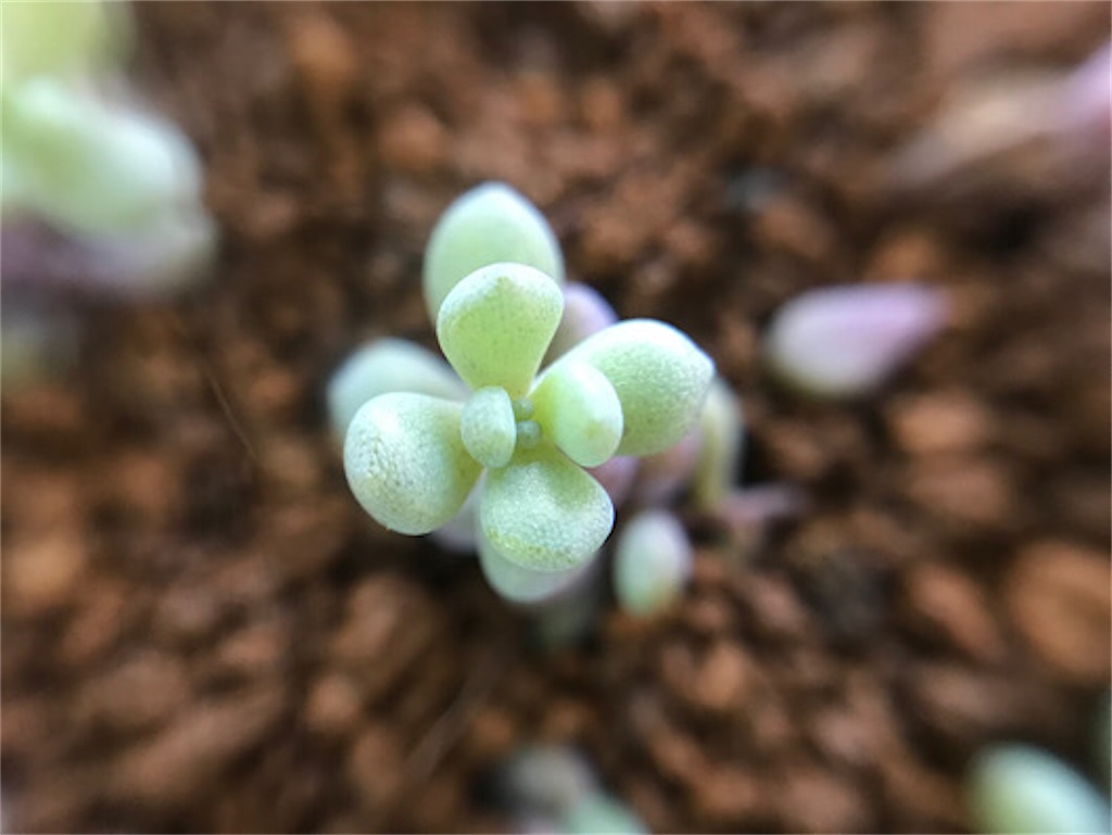 f:id:zun22:20230625134458j:image