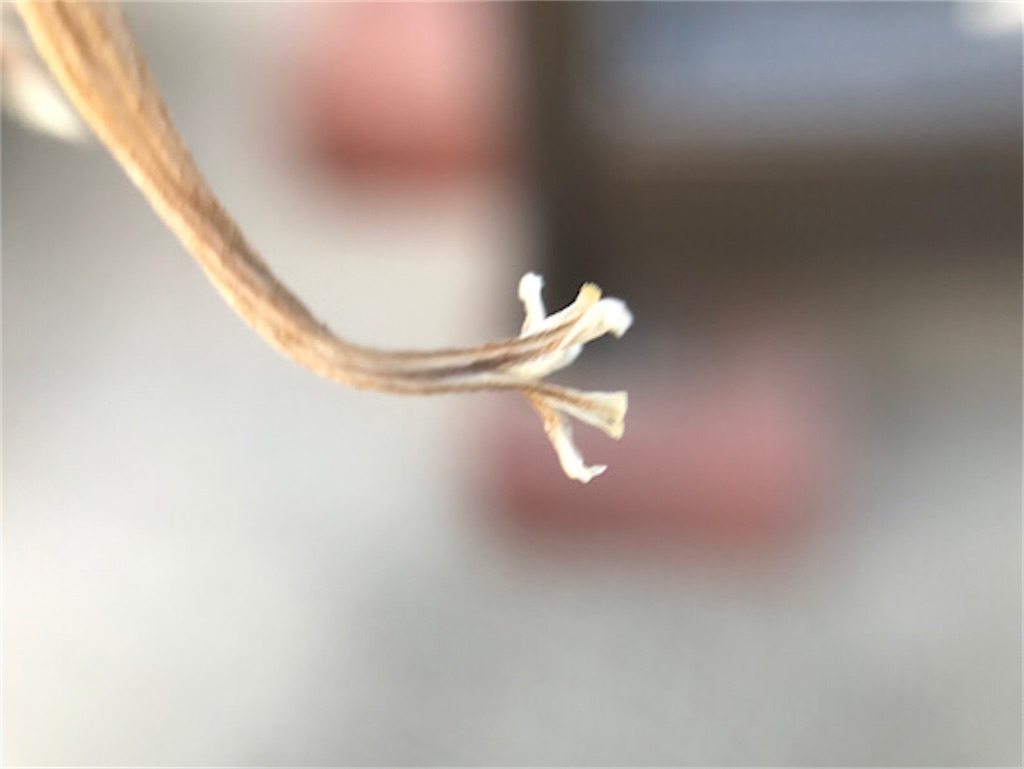 f:id:zun22:20230727222746j:image f:id:zun22:20230727222746j:image