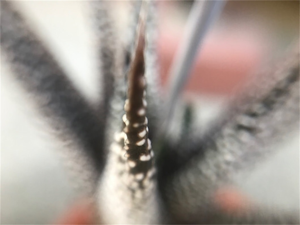 f:id:zun22:20230727222756j:image f:id:zun22:20230727222756j:image