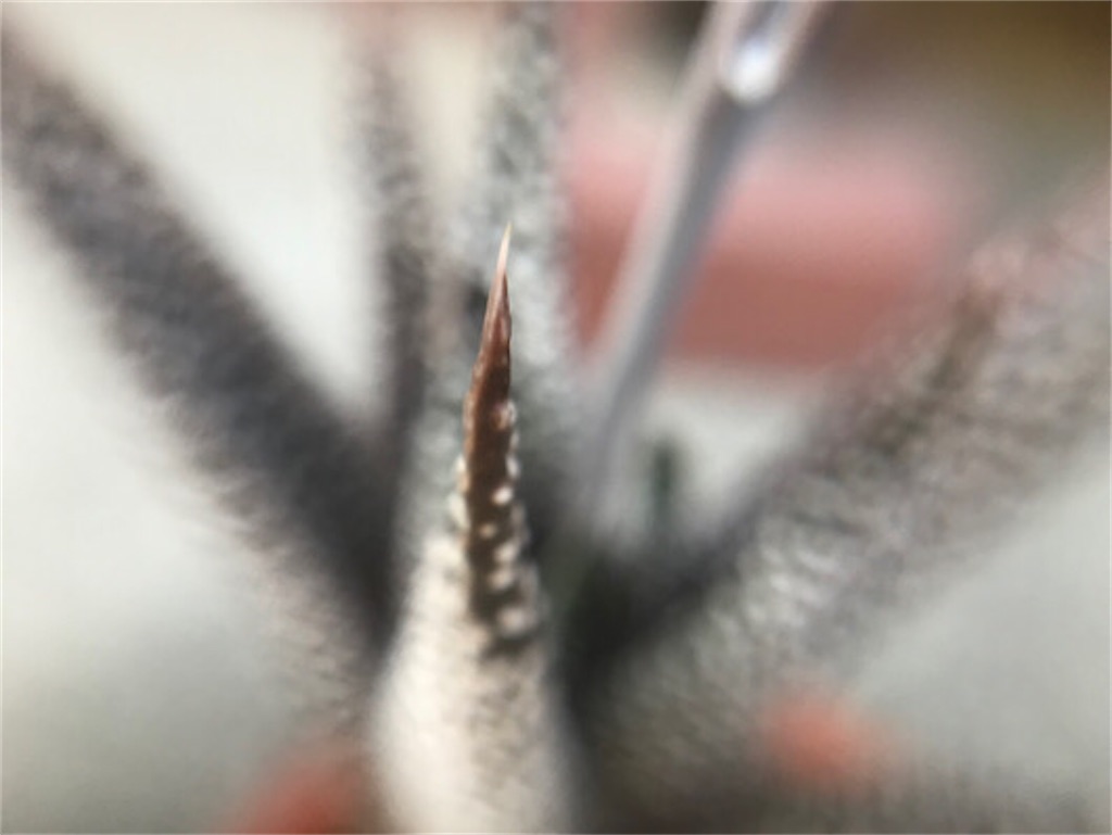 f:id:zun22:20230727222801j:image f:id:zun22:20230727222801j:image