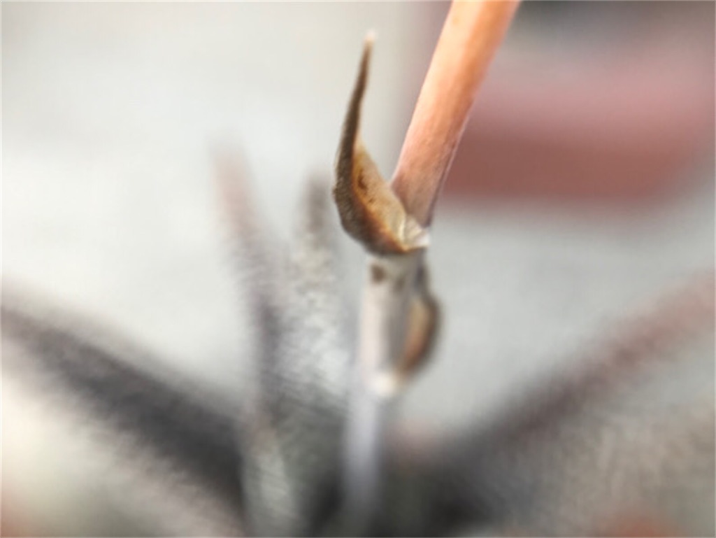 f:id:zun22:20230727222806j:image f:id:zun22:20230727222806j:image