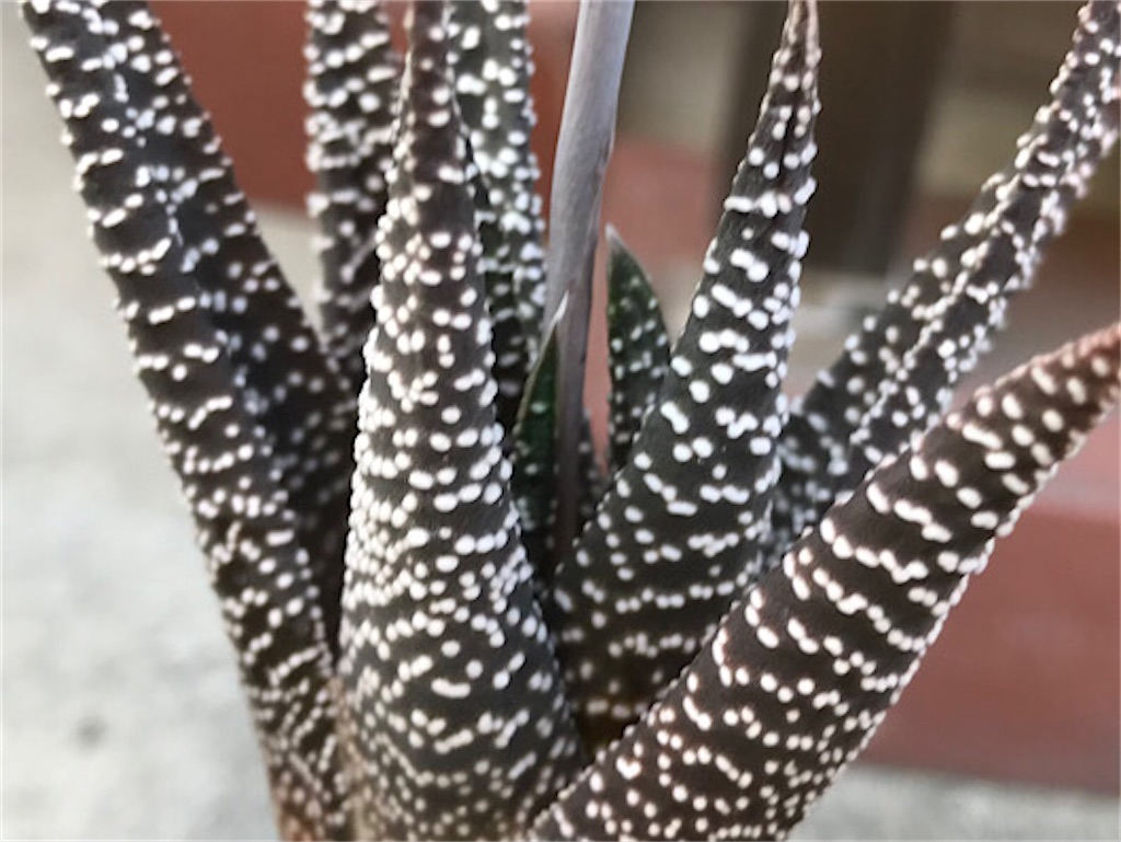 f:id:zun22:20230728083823j:image f:id:zun22:20230728083823j:image